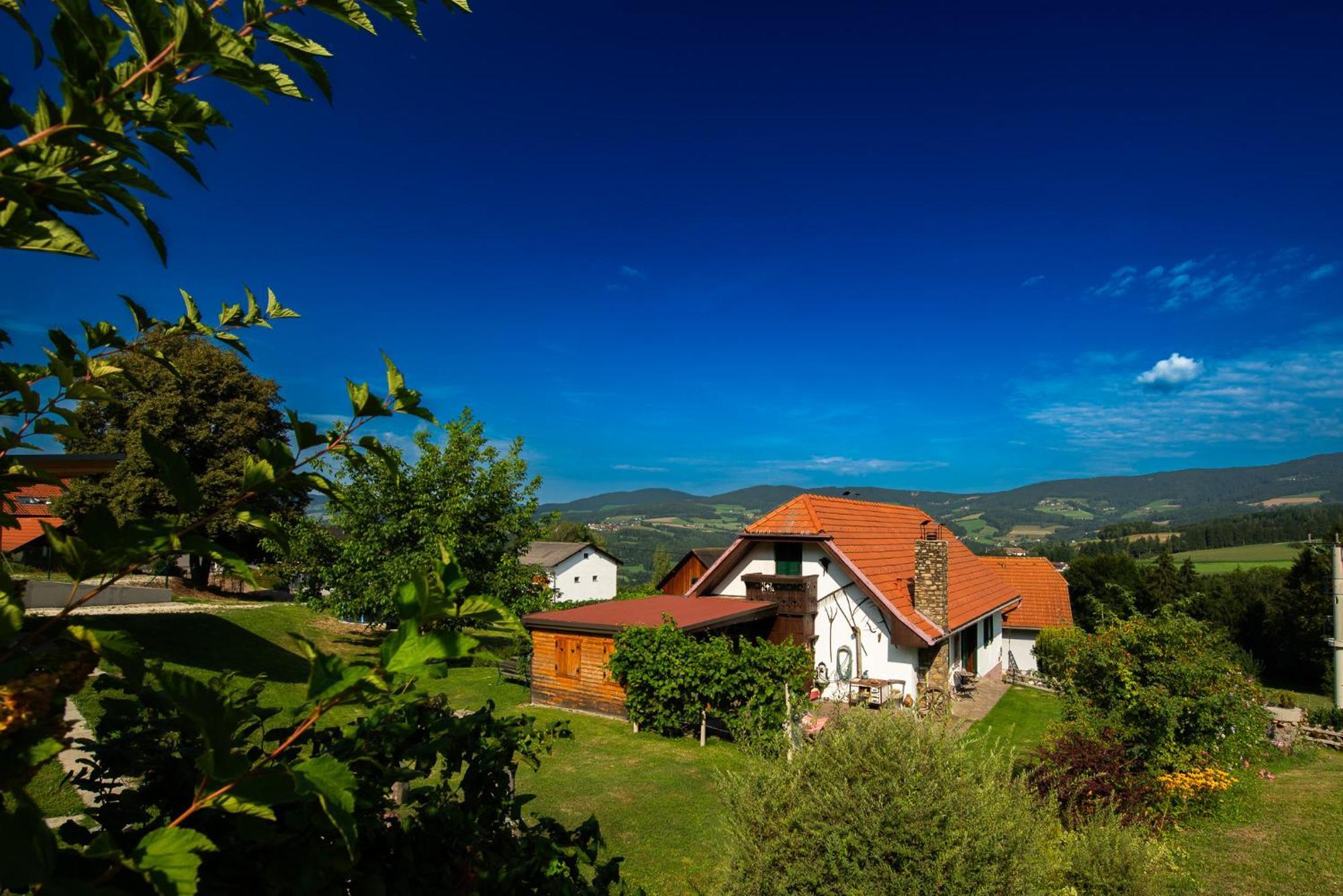 Ferienhaus Mooshoef Pöllauberg Exterior foto